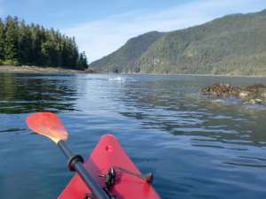 American Safari cruise, Alaska