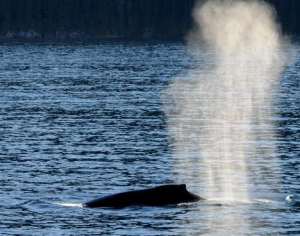 Photo courtesy of Go Fish Magazine