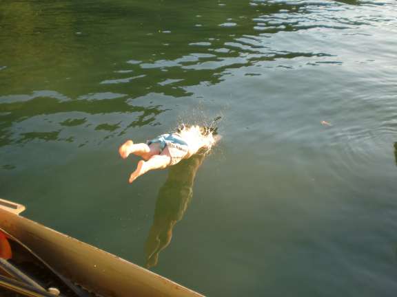 Scenery Cove, Alaska, American Safary cruise