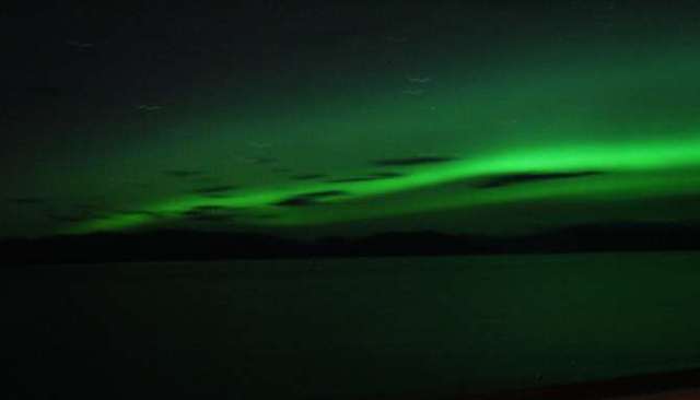 NLights Alaskan cruise with American Safari Cruises