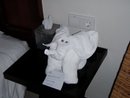 lauren's towel elephant somewhere in Australia