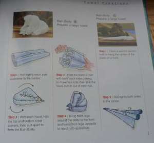 body B & C 2 Towel Creations book by Carnival Cruises