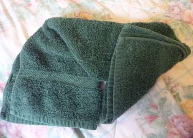 donkey head 2 cruise ship towel animals