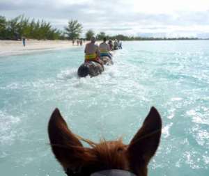 horse ride at Half Moon Cay