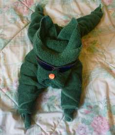 rabbit that looks like dog cruise ship towel animal folding