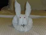 DIGITAL CAMERA cruise ship towel animals