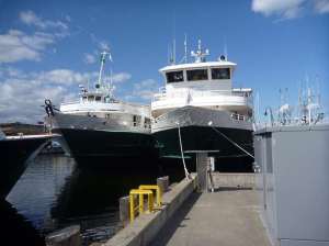 Wilderness Adventurer and Wilderness Discoverer