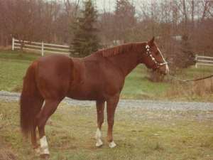 he LOOKS innocent enough.....