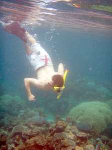 Great Barrier Reef, Australia