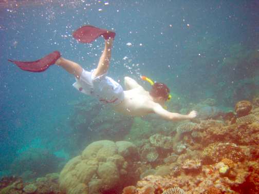 Great Barrier Reef, Australia