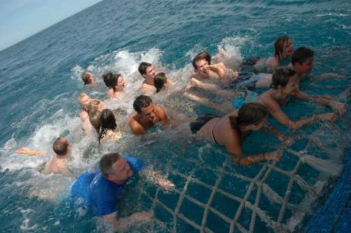 Great Barrier Reef, Australia