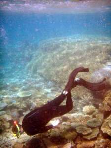 Great Barrier Reef, Australia