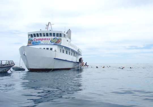Day trips on the Great Barrier Reef
