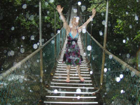 Daintree rainforest, Australia