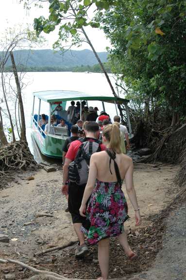Daintree River, Queensland Australia