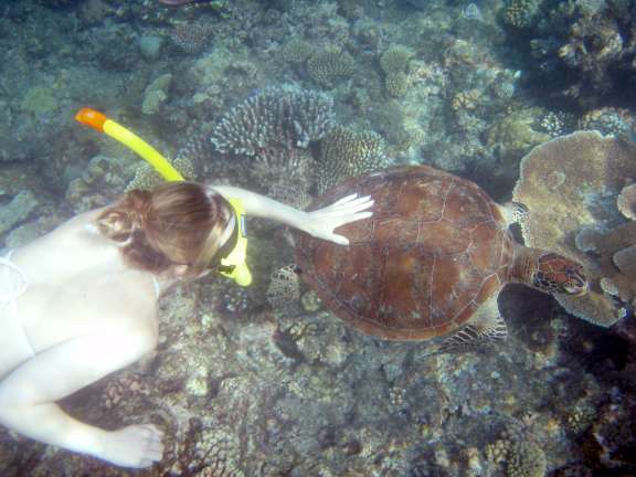 Great Barrier Reef, Australia