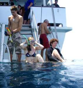 Reef Encounter, Great Barrier Reef Australia