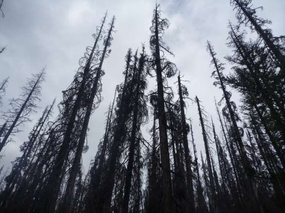 Glacier Peak wilderness