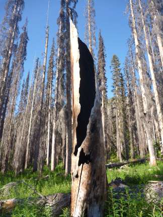 Glacier Peak Wilderness