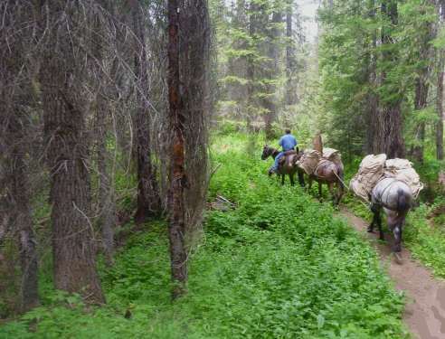 Glacier Peak wilderness