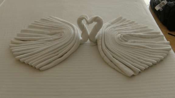 towel swans