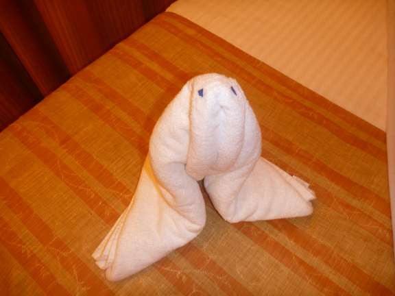 Carnival's towel seal