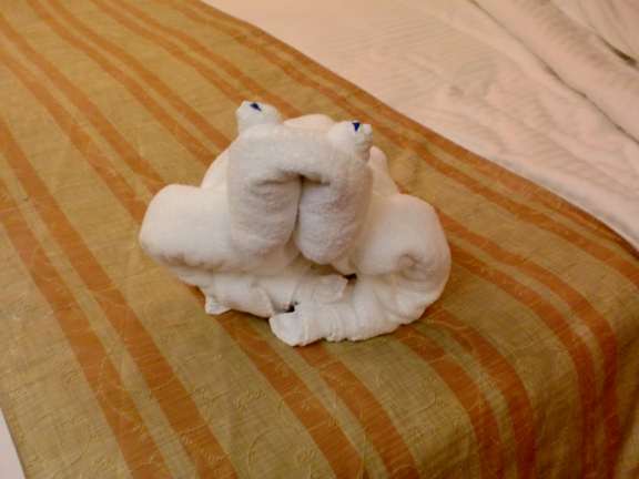 making towel animals