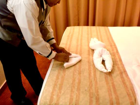 frog head3 towel animal folding