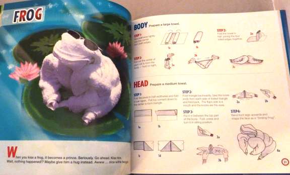 Carnival towel animal folding book