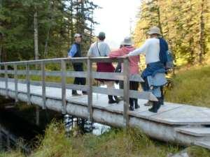 Bridge at the Beaver Dam2 Ideal Cove Trail, Alaska - Boardwalk Forest Service trail