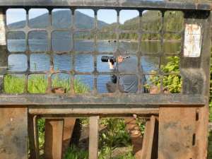 window on the world 2 Neet's Bay Fish Hatchery, Neets Bay Alaska