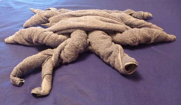 insert pincers into crab body towel animal folding instructions