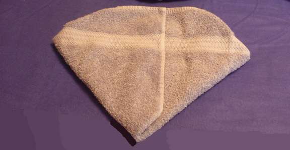 instructions for making towel animals