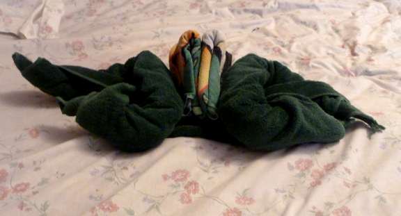 place head on body how to make a cruise ship towel frog