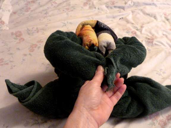 frog3 how to fold a towel frog