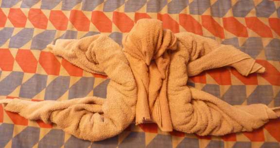towel animal folding