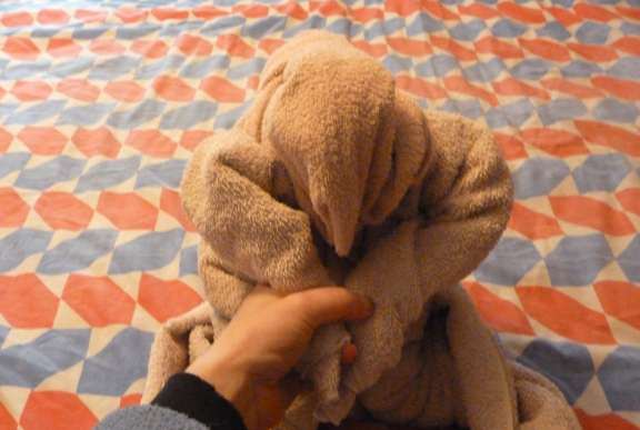 how to fold towel animals