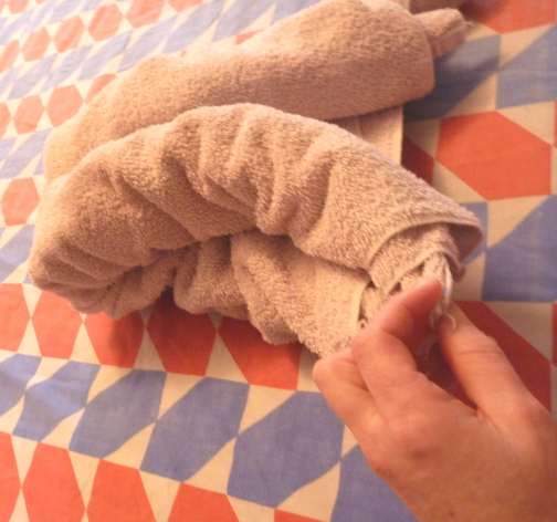 folding cruise ship towel animals