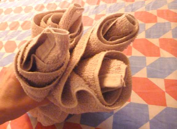 how to make cruise ship towel animals