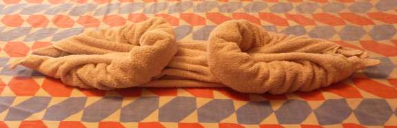 the art of towel animal folding