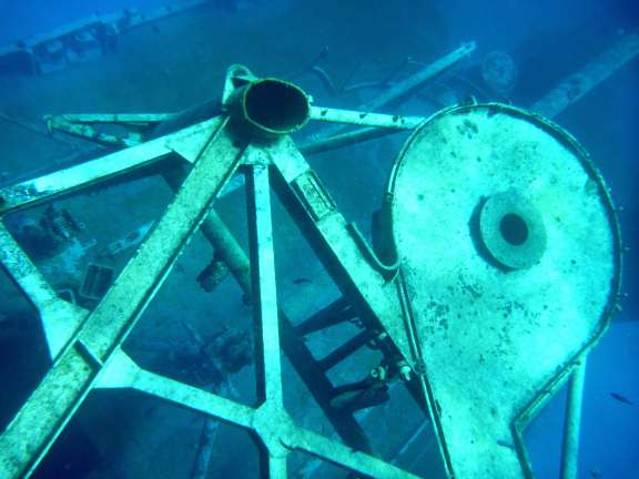 structure on the Kittiwake