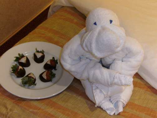 towel gorilla with chocolate covered strawberries