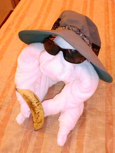 how to fold cruise ship towel animals