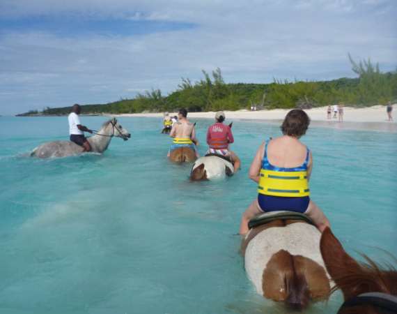Half Moon Cay Horse Ride