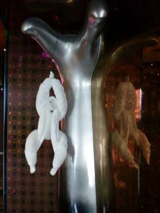Carnival Cruise's hanging towel monkey