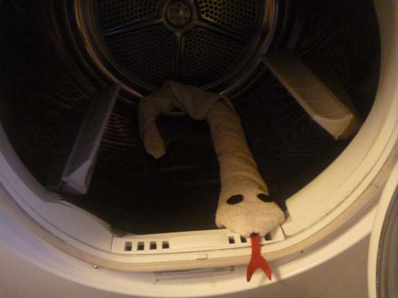 cruise ship towel animals