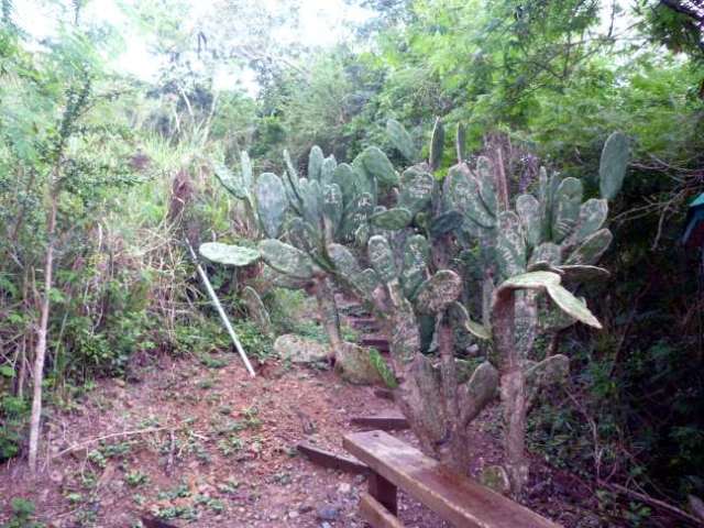 Paradise Point Nature Trail