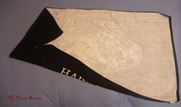 snake mine2 how to fold a towel snake