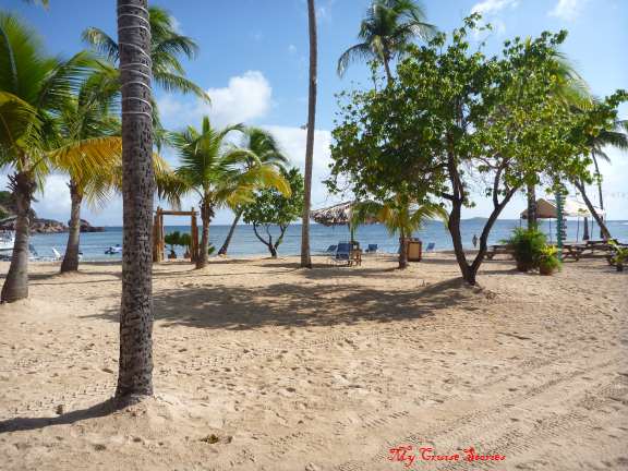 ST Bus Bolongo Bay St Thomas