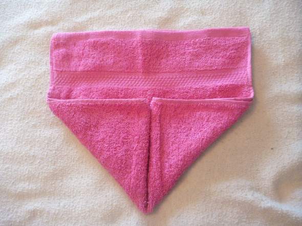 How to fold cruise ship towel animals